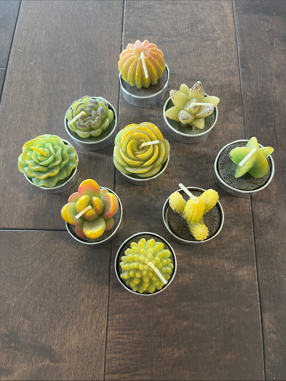 Set of 9 Succulent-Shaped Tealight Candles in Green and Yellow